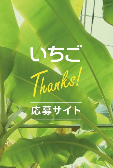 いちごＪリーグ株主・投資主優待